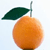 赣南脐橙